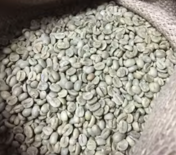 Café Robusta de Guinée – Vente en Gros pour Exportation